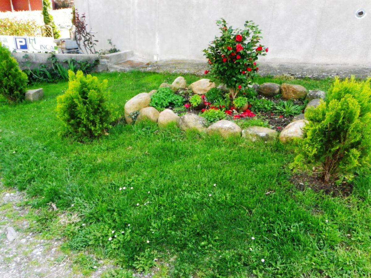 Casa Rural Sofia Ordesa Escalona 外观 照片